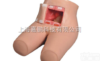 <em>JP</em>/<em>15</em>  <em>JP</em>/<em>15</em>高级灌肠和辅助排便训练模型
