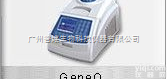 <em>GeneQ</em>  <em>基因扩增仪</em>