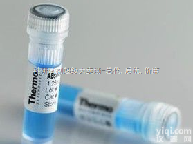 <em>保证质量</em>  ）丝氨酸/苏氨酸激酶家族成员的<em>基因</em>WNK3抗体报价