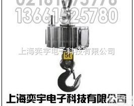 OCS  30T<em>吊秤</em>， <em>临沧</em>30T<em>吊秤</em>学习