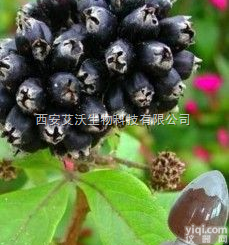 aw<em>刺五加</em>甙  <em>刺五加</em>甙 优质<em>刺五加</em>甙