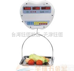 <em>天津</em>ACS<em>电子秤</em>/计价<em>吊钩</em>秤
