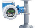 t-mass65F热式气体<em>流量计</em>  E+H65F气体<em>流量计</em>,E+H气体<em>流量计</em>，E+H<em>流量计</em>上海