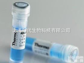 特价  NK<em>细胞</em><em>受体</em>/自然杀伤<em>细胞</em>活化性<em>受体</em><em>抗体</em>价格