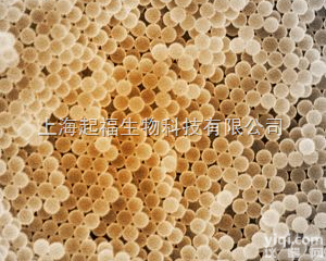 <em>Polystyrene</em> particles  sciventions公司 聚苯乙烯微球