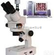 DP-XTL-3400C  电脑型连续<em>变倍</em><em>体视</em><em>显微镜</em>/<em>体视</em><em>显微镜</em>/连续<em>变倍</em><em>体视</em><em>显微镜</em>/