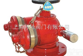 SQD  <em>多用</em>式地上<em>消防水泵</em><em>接合器</em>