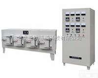 DP-SXT  <em>梯度</em>电炉/箱式<em>梯度</em>炉/<em>管式电炉</em>/隧道式电炉