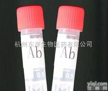 β-hCG单抗（anti-β-hCG）