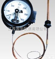 <em>WTZ</em>/<em>WTQ</em>系列压力式<em>温度计</em>  <em>WTZ</em>/<em>WTQ</em>系列压力式<em>温度计</em>