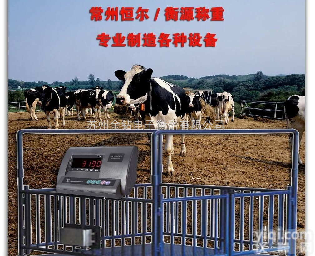 SCS1212  秤羊<em>电子秤</em>，内蒙古肉羊<em>电子秤</em>，草原专用<em>牲畜</em>秤1000公斤