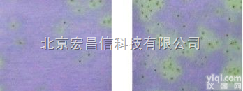 <em>餐饮具</em>用大肠群<em>检测</em>纸片 10份/包  <em>餐饮具</em>用大肠群<em>检测</em>纸片 10份/包