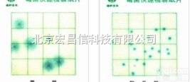 <em>霉菌</em>、<em>酵母菌</em>测试片  24片/包  <em>霉菌</em>、<em>酵母菌</em>测试片  24片/包