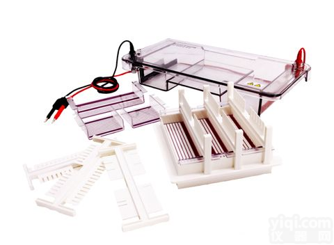 JY-SPDT型水平<em>电泳</em>槽|水平<em>电泳</em>槽价格|<em>北京</em>高压<em>电泳</em>槽