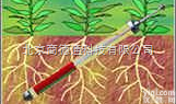 CI-600  <em>根系</em><em>生长</em><em>监测</em>系统