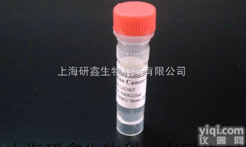 A02033   0.1ml/0.2ml  ABI1/SSH3BP1蛋白抗体