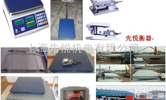 尼罗河】1吨地磅…2吨电子地磅…3吨<em>叉车</em>秤…5吨吊<em>磅秤</em>…先悦衡器厂家直...