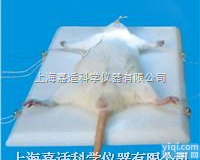 嘉适SH-Q11 <em>小鼠</em><em>解剖</em>板 大鼠<em>解剖</em>板  小<em>动物</em><em>解剖</em>板