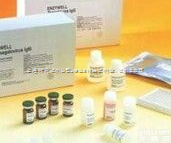 免费代测  人胰<em>高血糖素</em>样肽1Elisa<em>试剂盒</em>,（GLP-1）Elisa<em>试剂盒</em>价格