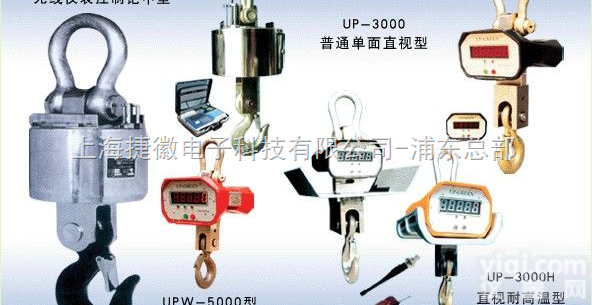 电子<em>吊钩</em>秤 电子<em>吊钩</em>秤厂家/<em>OCS</em><em>系列</em>