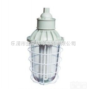 厂家（BAD54-J175W/E40）<em>系列</em><em>防爆</em><em>节能灯</em>