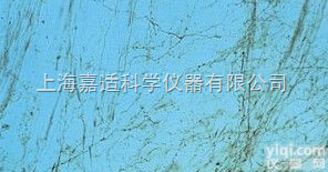 生物素葡<em>聚糖</em>胺 BDA vector  <em>Biotinylated</em> Dextran Amine-Texas Re...