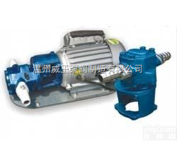 WCB<em>便携式</em>油泵<em>生产厂家</em>，价格，结构图