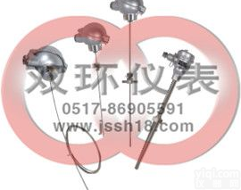 WRNK-131  <em>铠装热电偶 WRNK-131</em>