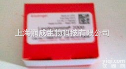 <em>脂质体2000</em>/<em>脂质体2000</em>价格/供应<em>脂质体2000</em>