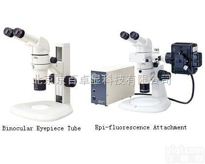 <em>SMZ800</em>  <em>尼康</em>显微镜、<em>尼康</em><em>SMZ800</em>高级体视显微镜