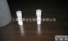 MN0001  细胞株 动物正常细胞 <em>上海</em>索莱宝<em>生物科技</em>