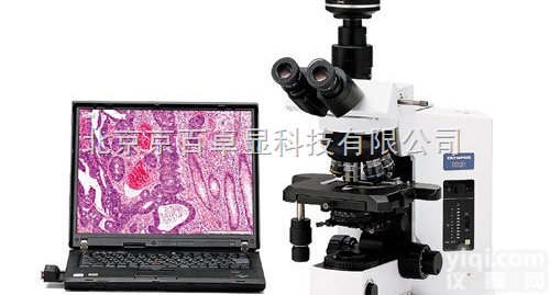BX51/BX51M  <em>北京</em><em>奥林巴斯</em>正置金相显微镜 BX51M、<em>北京</em><em>奥林巴斯</em>显微镜、<em>北京</em>体视显...