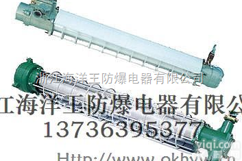 DGS36/<em>127</em>Y（T）  DGS36/<em>127</em>Y（T）<em>矿用</em>隔爆型<em>荧光灯</em>，DGS<em>矿用</em><em>荧光灯</em>  隔爆型...