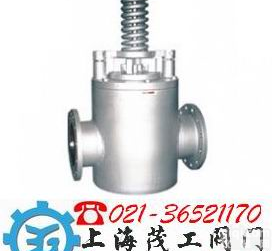 <em>安全逆止阀</em>