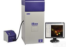 iBox Explorer  UVP<em>活体</em>小<em>动物</em>荧光显微成像系统