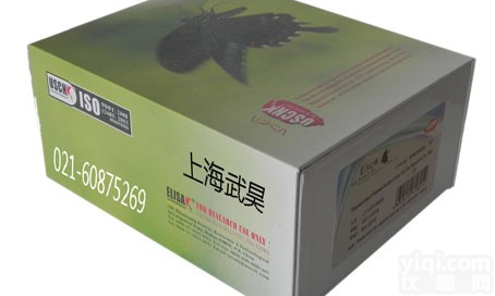 E90380Ga  马的ELISA<em>试剂盒</em> 羊的ELISA<em>试剂盒</em> 质粒<em>纯化</em><em>试剂盒</em> 基因组<em>纯化</em>...