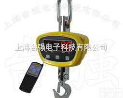 OCS-XZ-<em>TGE</em>  <em>小量</em>称<em>吊秤</em>