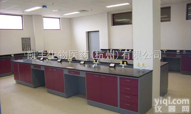 钢木<em>结构</em>、<em>全钢</em><em>结构</em>、铝木<em>结构</em>、PP<em>结构</em>、全木<em>结构</em>  实验操作台