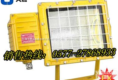 BFC8110B-防爆<em>泛光灯</em>  供应BFC8110B-<em>大功率</em>无极灯 250/400W