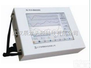 ZBL-P810A  武汉（辰龙天和）<em>ZBL-P810A基桩动测仪</em>可