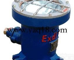 SQDGC60/127B  <em>矿用</em><em>隔爆型</em>防震<em>照明灯</em> 防震<em>照明灯</em>