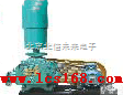 HG19-WC-125  <em>罗茨风机</em> <em>鼓风机</em>