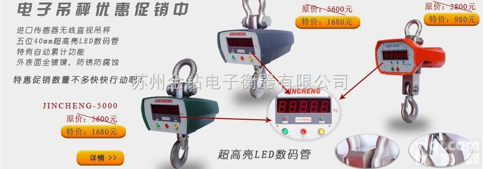 OCS-10  荆州30吨行车吊磅|三十吨<em>塔吊</em><em>吊钩</em>称|30吨码头吊挂秤