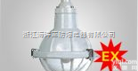 供应BAD51增安型<em>防爆灯</em>/海洋王BAD51<em>防爆灯</em>，<em>华荣</em>BAD51防爆...