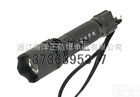 <em>海洋</em>王<em>防爆</em>手<em>电筒</em>  联合生产<em>海洋</em>王手<em>电筒</em>JW7621