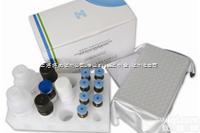 厂家直销  人<em>水蛭</em>素<em>价格</em>（Hirudin）Elisa试剂盒厂家