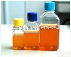 进口<em>血清</em>  FBS, URUGUAYAN <em>ORIGIN</em>