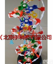 产品货号： wi78991  厂家<em>直销</em>DNA<em>双螺旋</em>结构<em>模型</em>