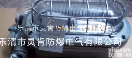 DGC35/127（b）  <em>防爆</em><em>支架</em>灯，<em>隔爆型</em><em>支架</em>灯