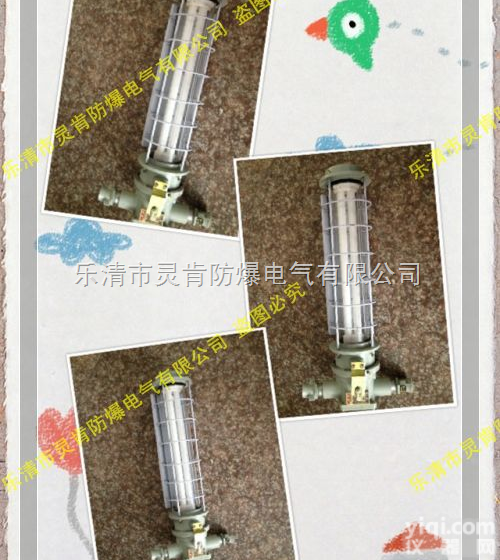 <em>矿用</em>隔爆型<em>荧光灯</em> DGS24/<em>127</em>Y（a）  DGS24/<em>127</em>Y（A） <em>矿用</em>隔爆型<em>荧光灯</em> DGS24/<em>127</em>Y
